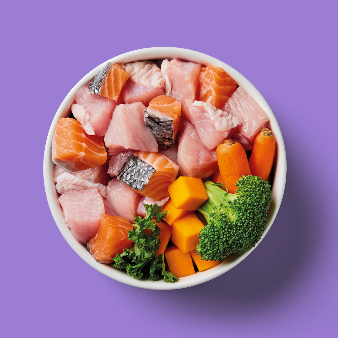 Raw Salmon & Turkey 500g