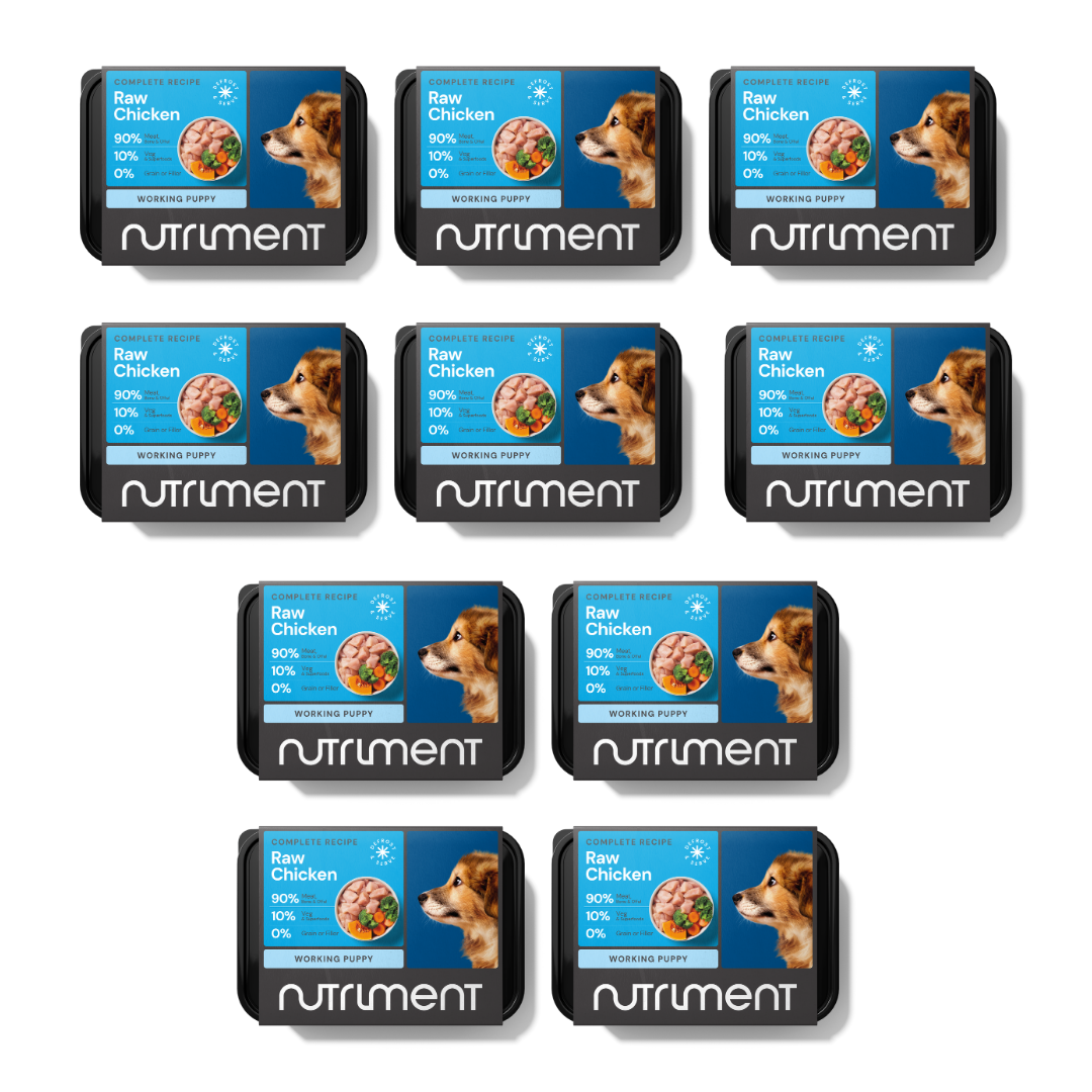 5kg Puppy Raw Starter Pack