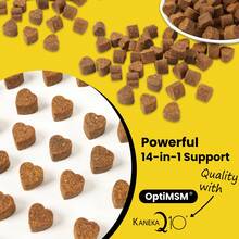 8-in-1 & 14-in-1 Dog Multivitamin Complex – Phospholipid Health Supplement