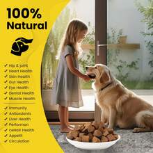 8-in-1 & 14-in-1 Dog Multivitamin Complex – Phospholipid Formula Pet Health Supplement