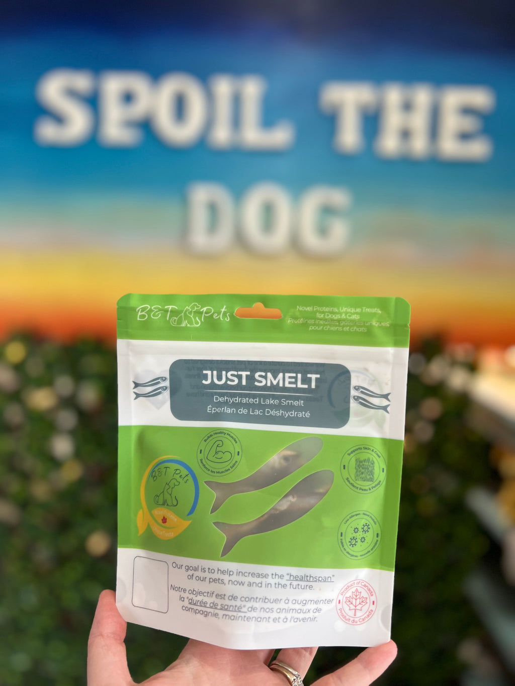 Smelt