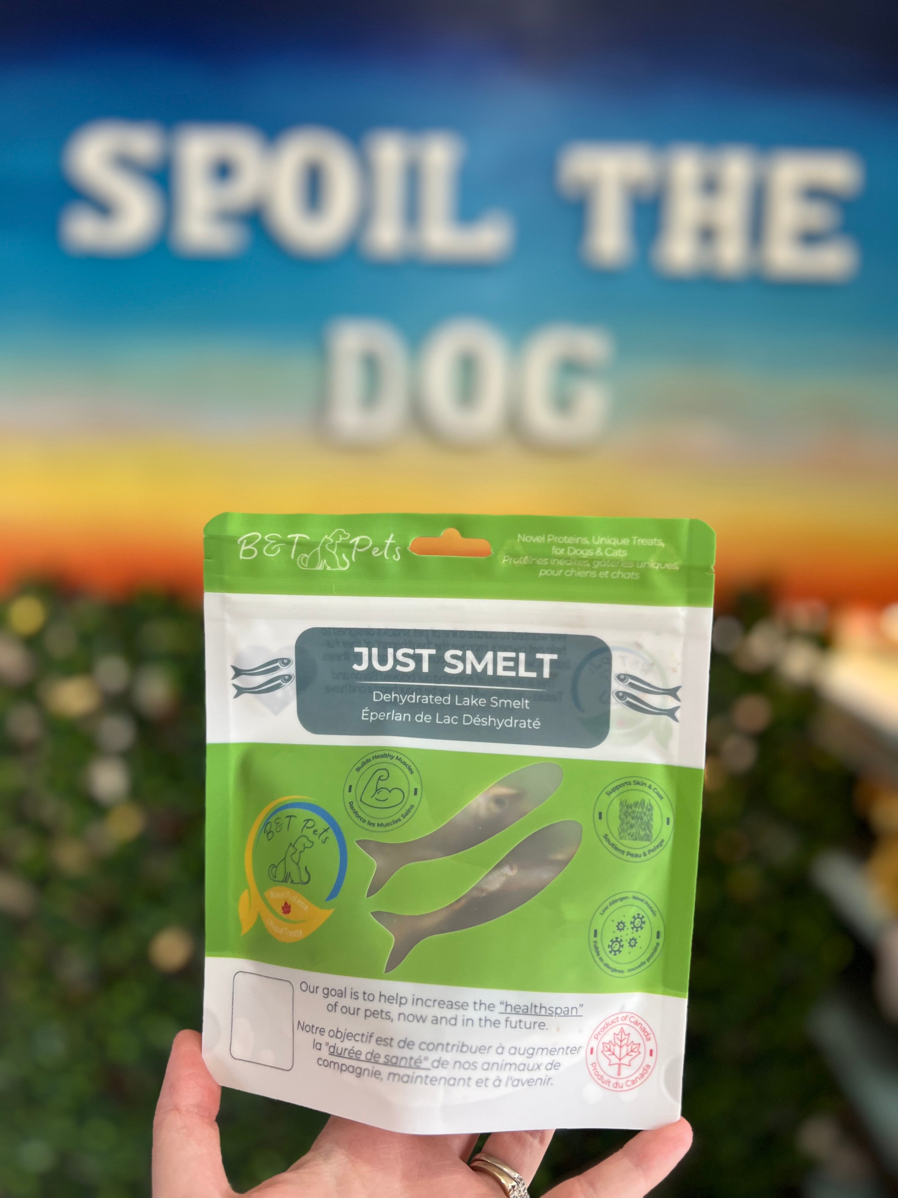 Smelt