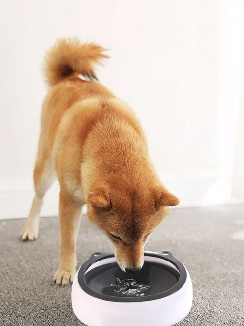 Cute Cat Ear Pet Bowls