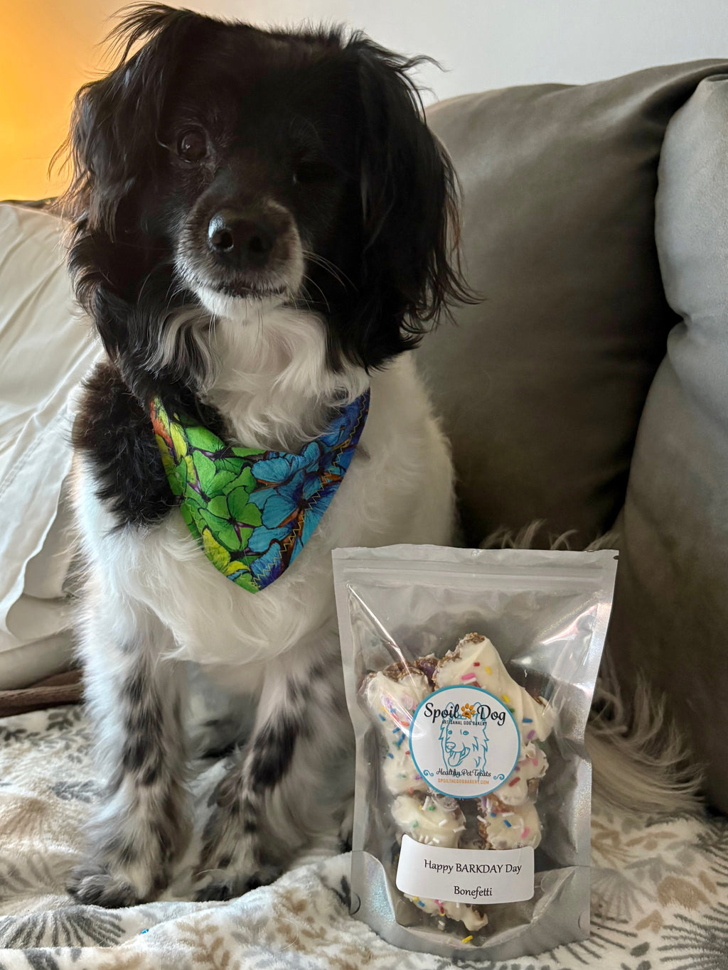 Dog Birthday Happy BARKday Bonefetti (Wheat-Free)