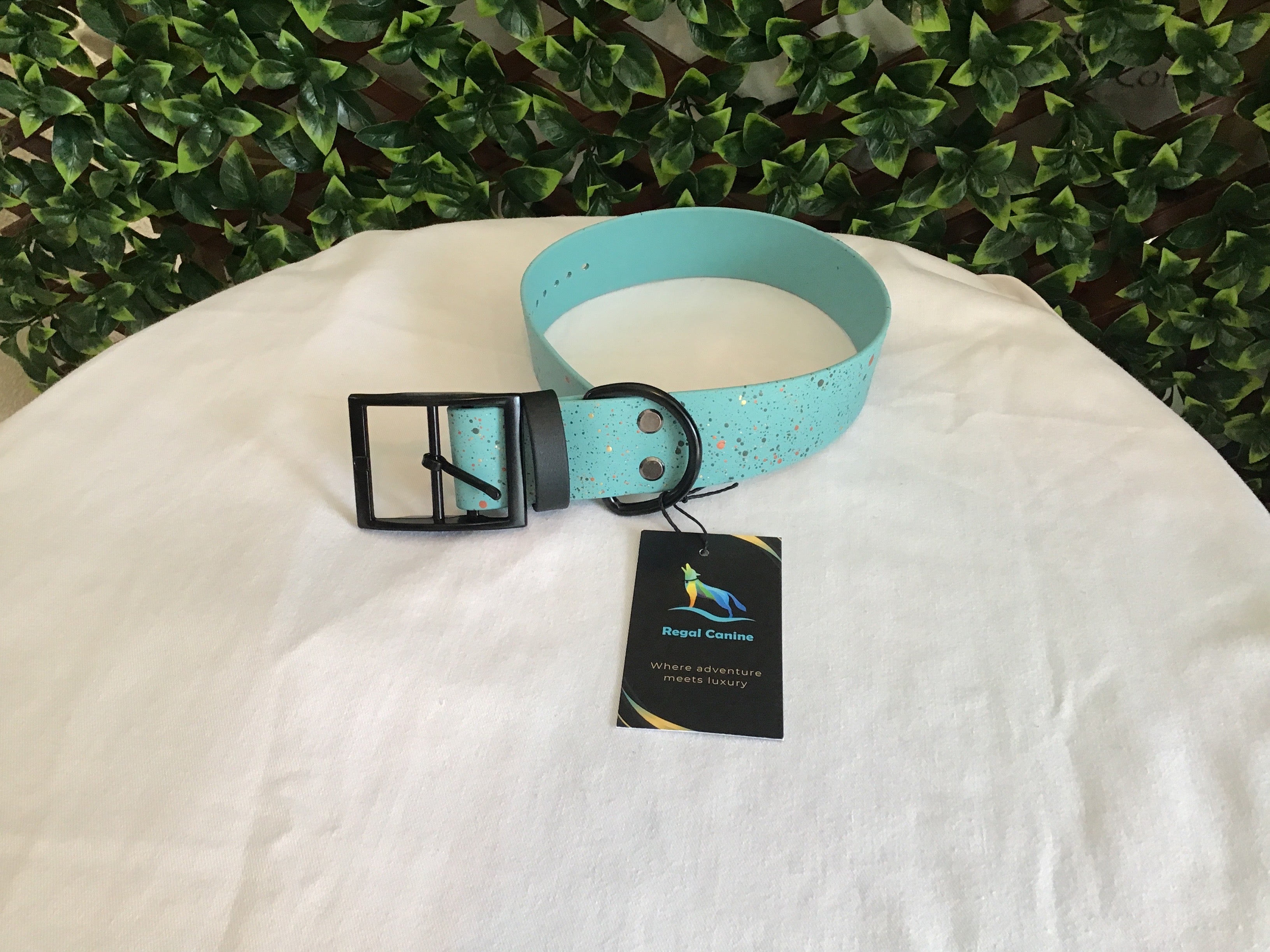 Regal Canine Biothane Dog Collars