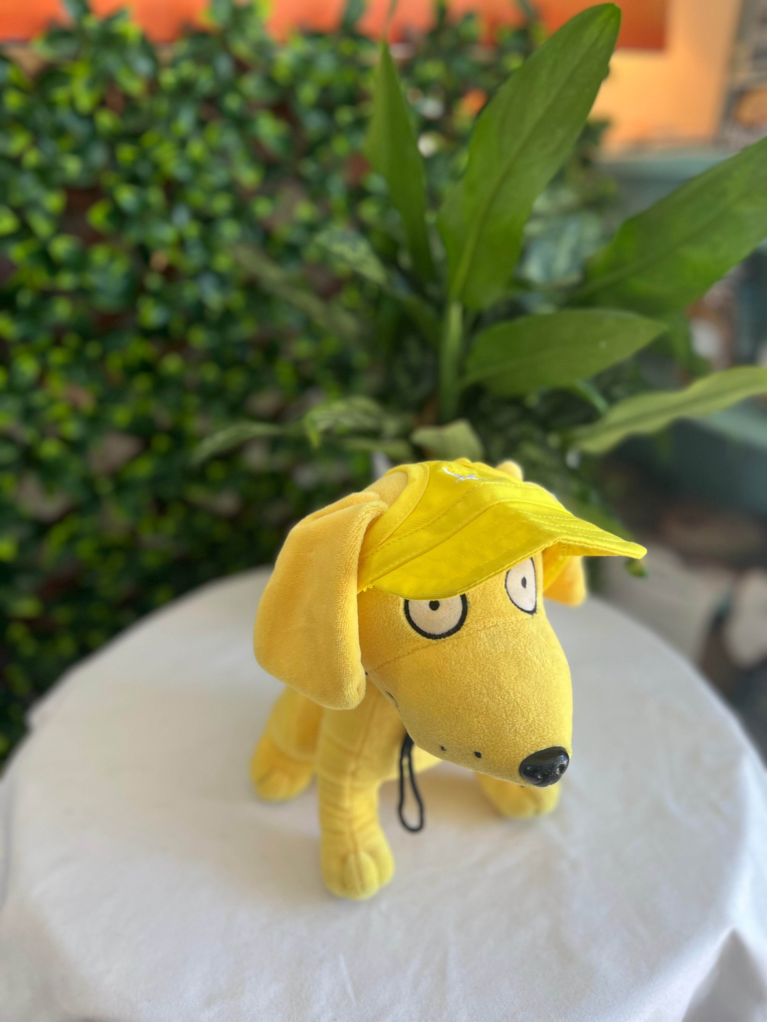 Tail Up Dog Sun Hats/Sun Protection for Dogs