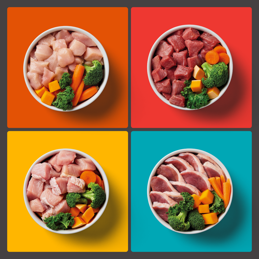 10kg Adult Raw Variety Box