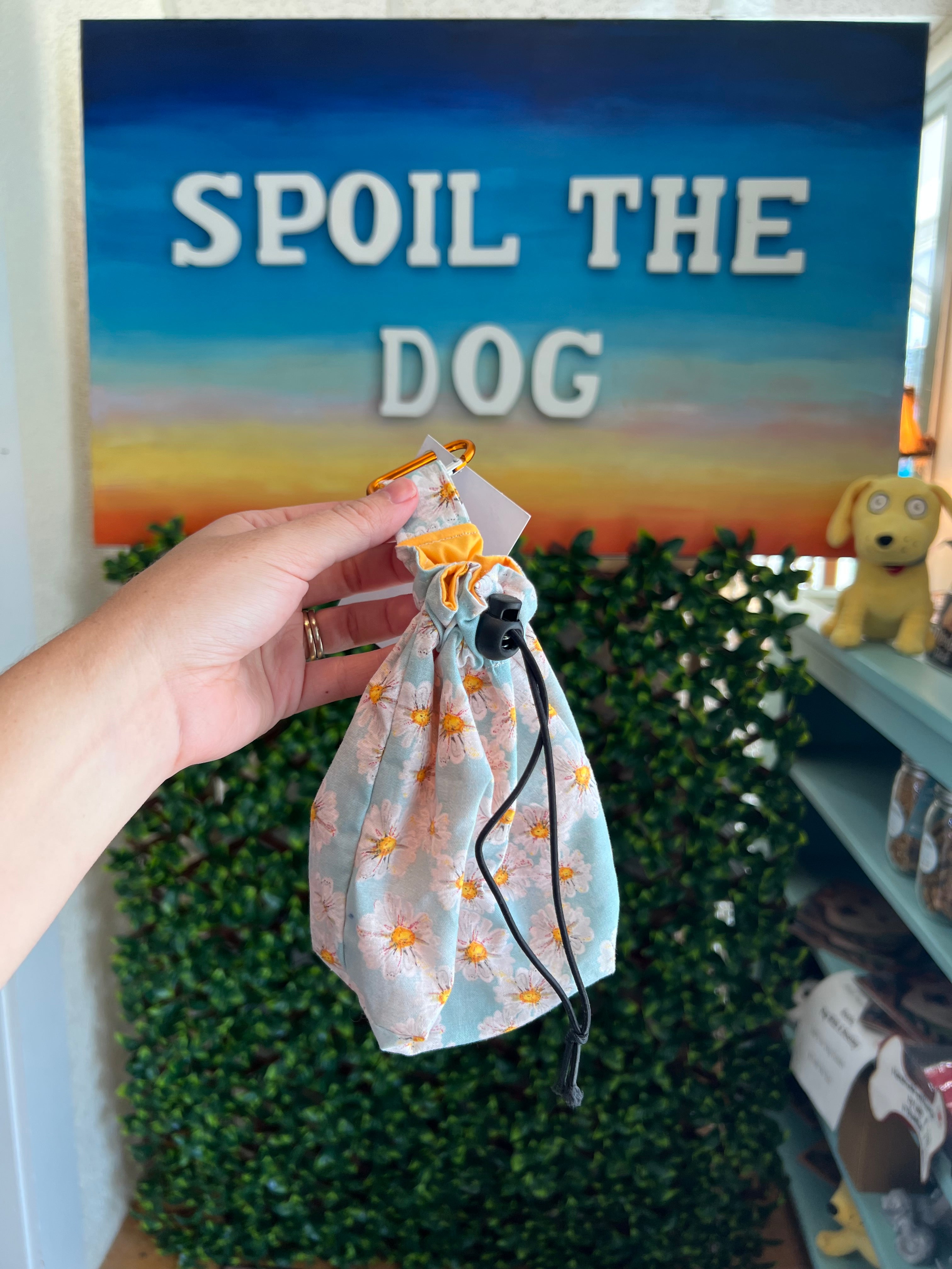 Treat Pouches