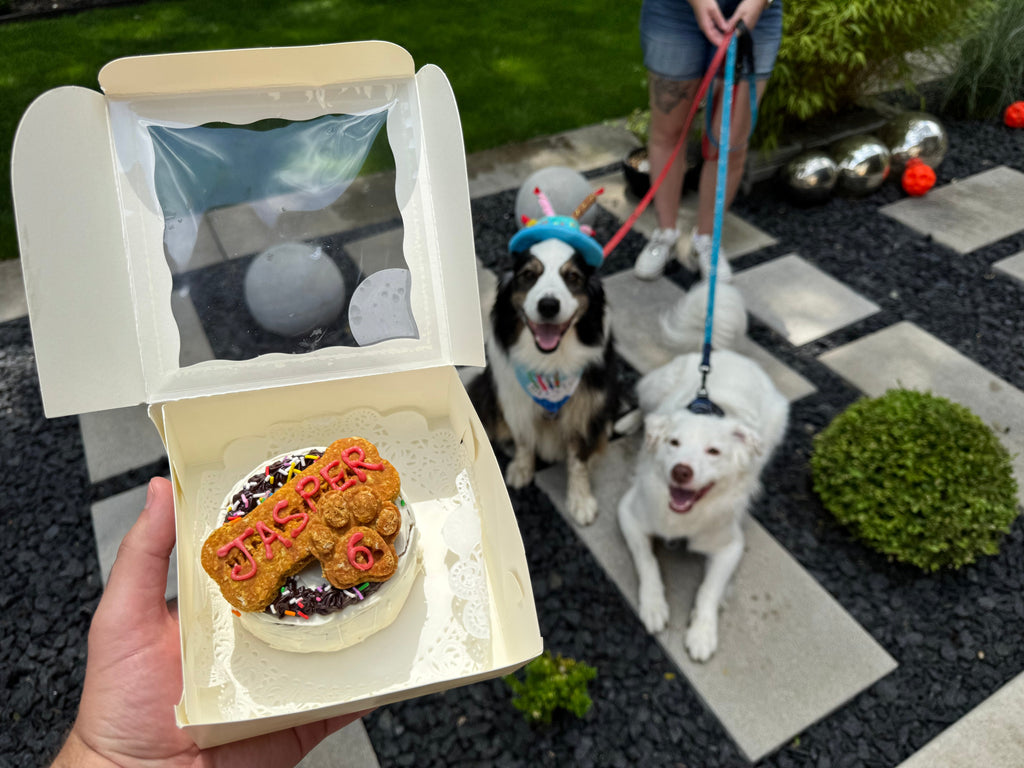 Dog Birthday Cake. Happy BARKday!