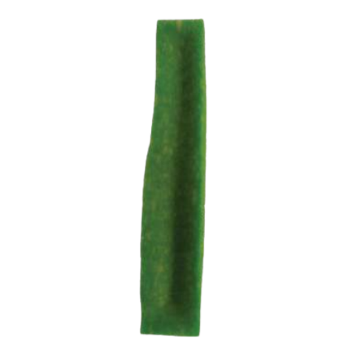 Mint Dog Chew - Helps Control Bad Breath