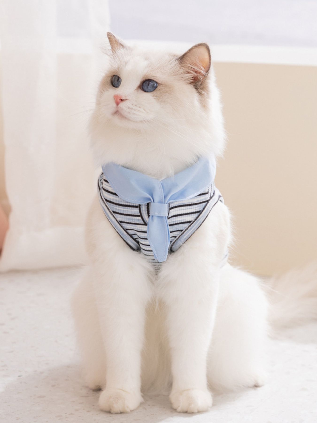 Striped Tied Pet Top