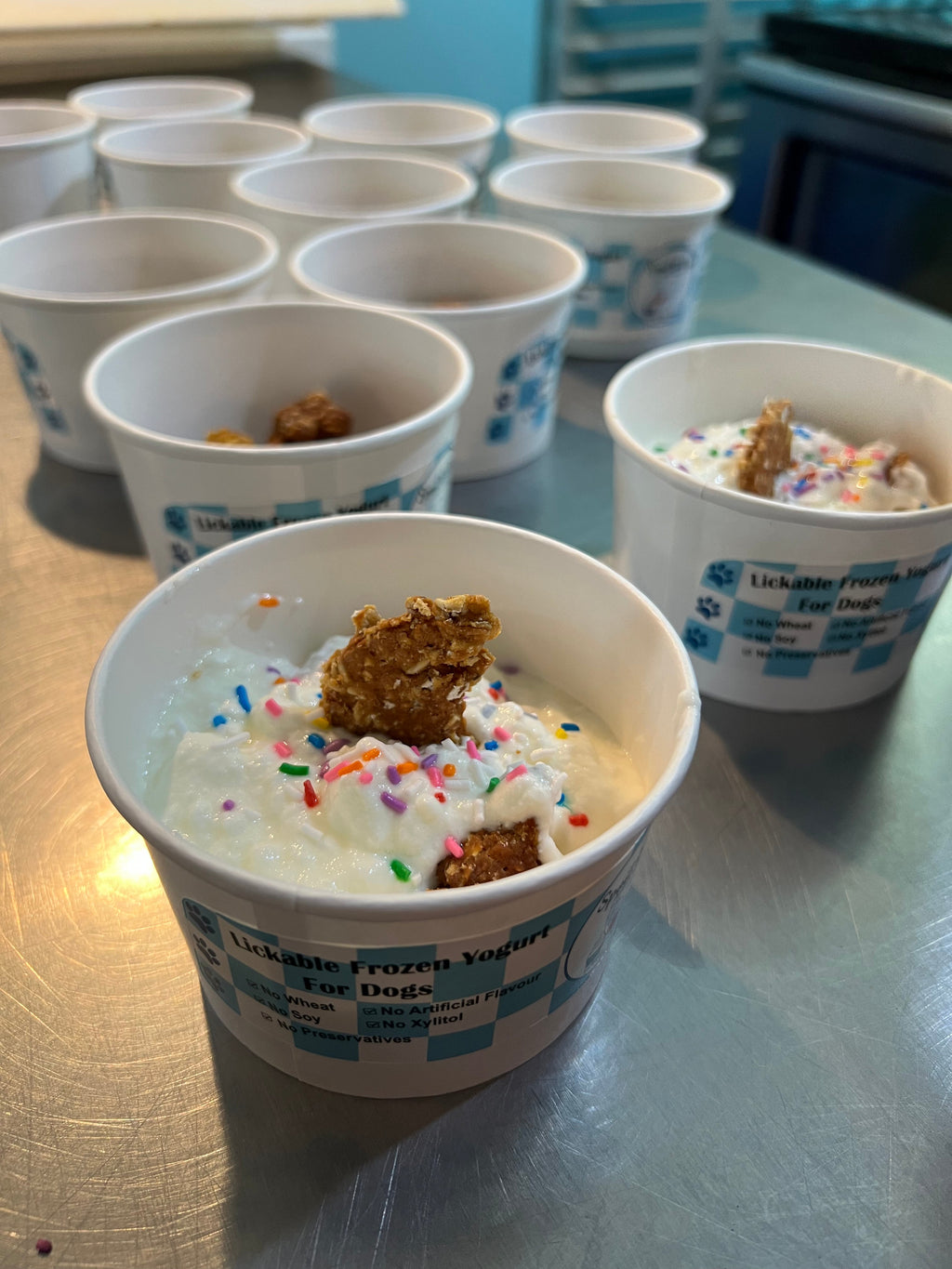 Frozen Dog Treats Lickable Frozen Yogurt for Dogs (Available for Pickup Only)