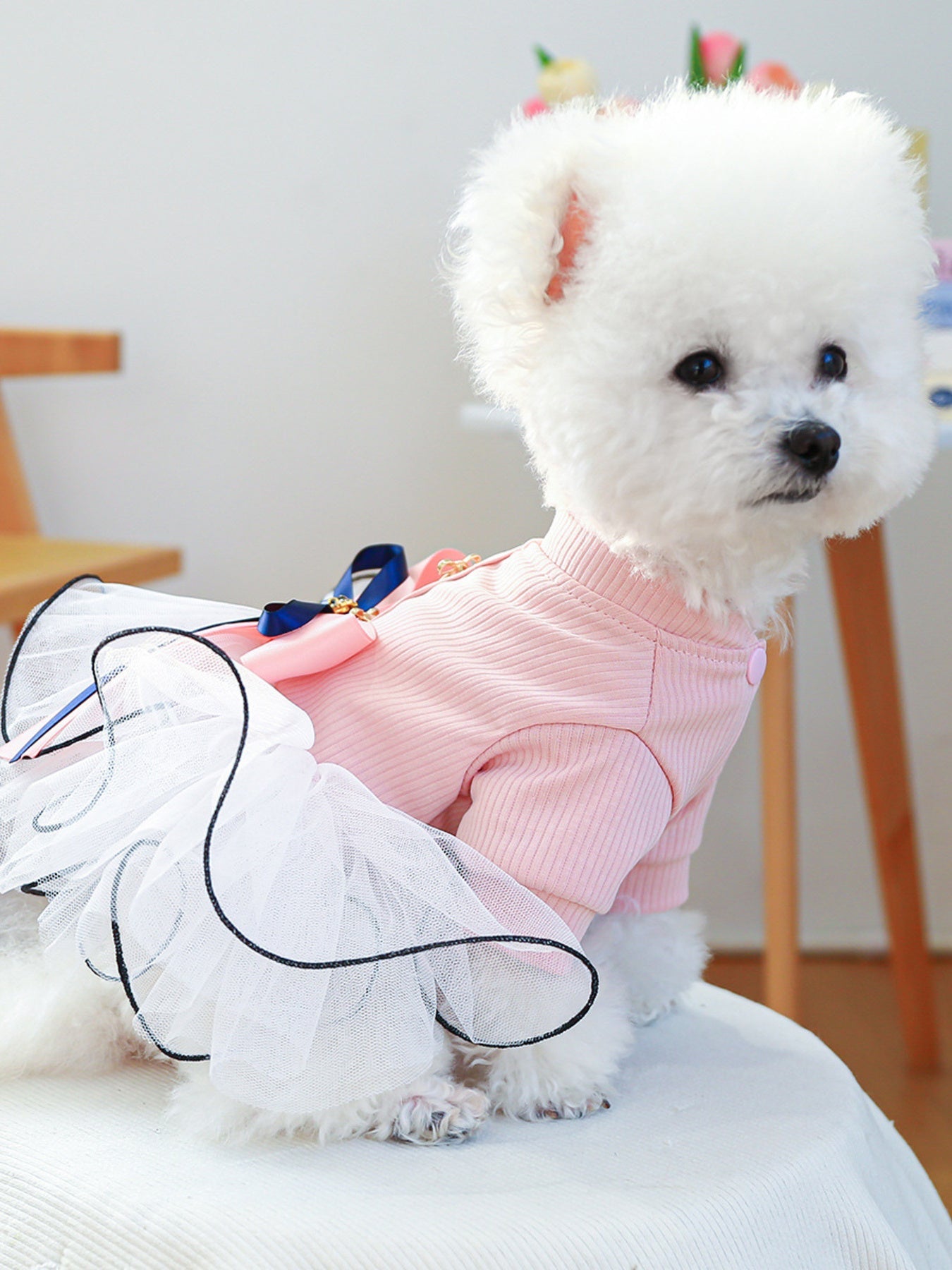 Bow Tutu Pet Dress