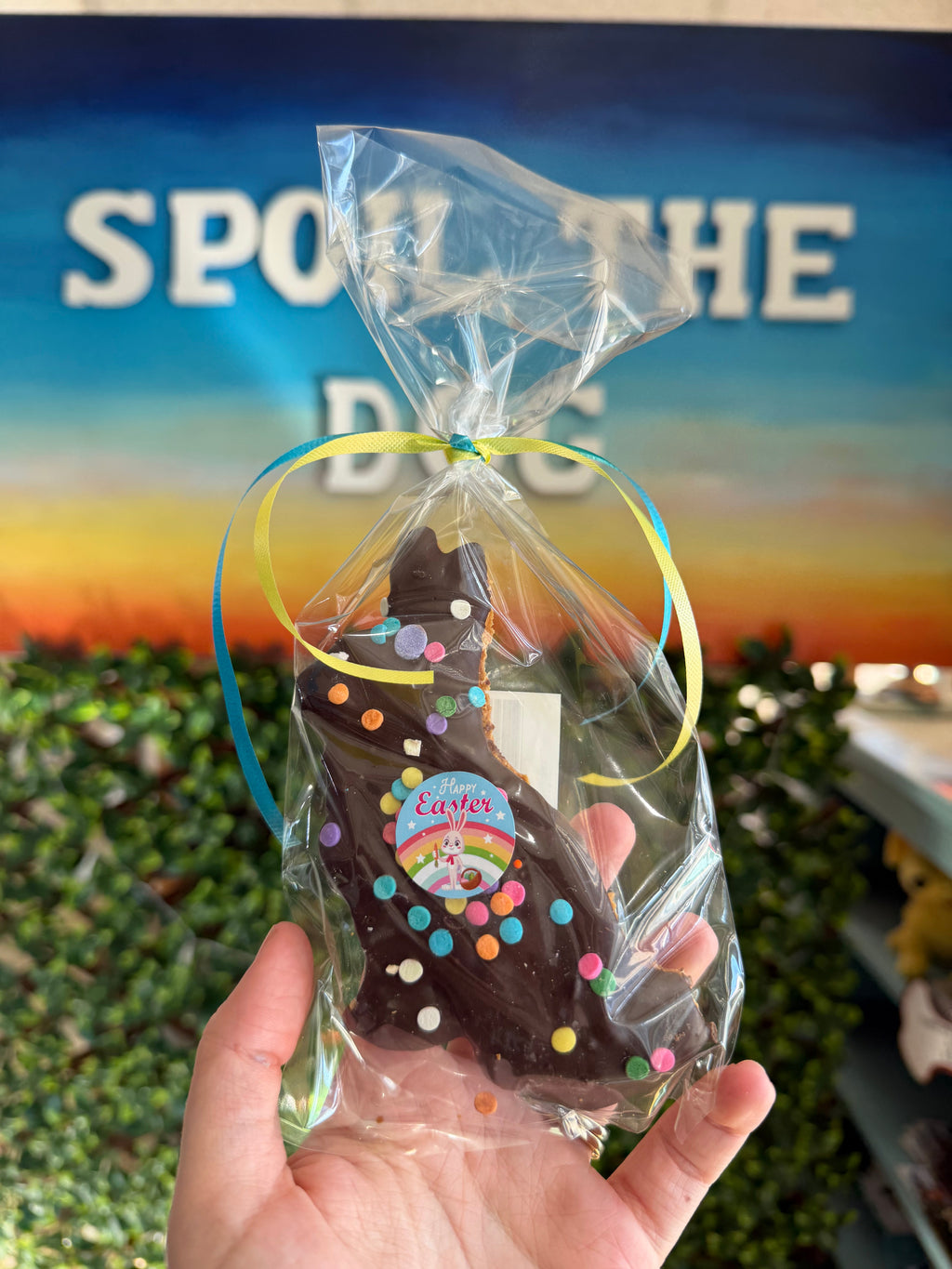 Carob Covered Easter 2026 Bunny with Sprinkles -Dog Treat