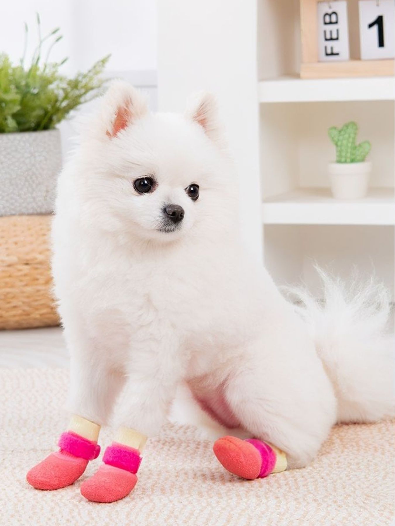 Waterproof Anti-Slip Pet Shoes