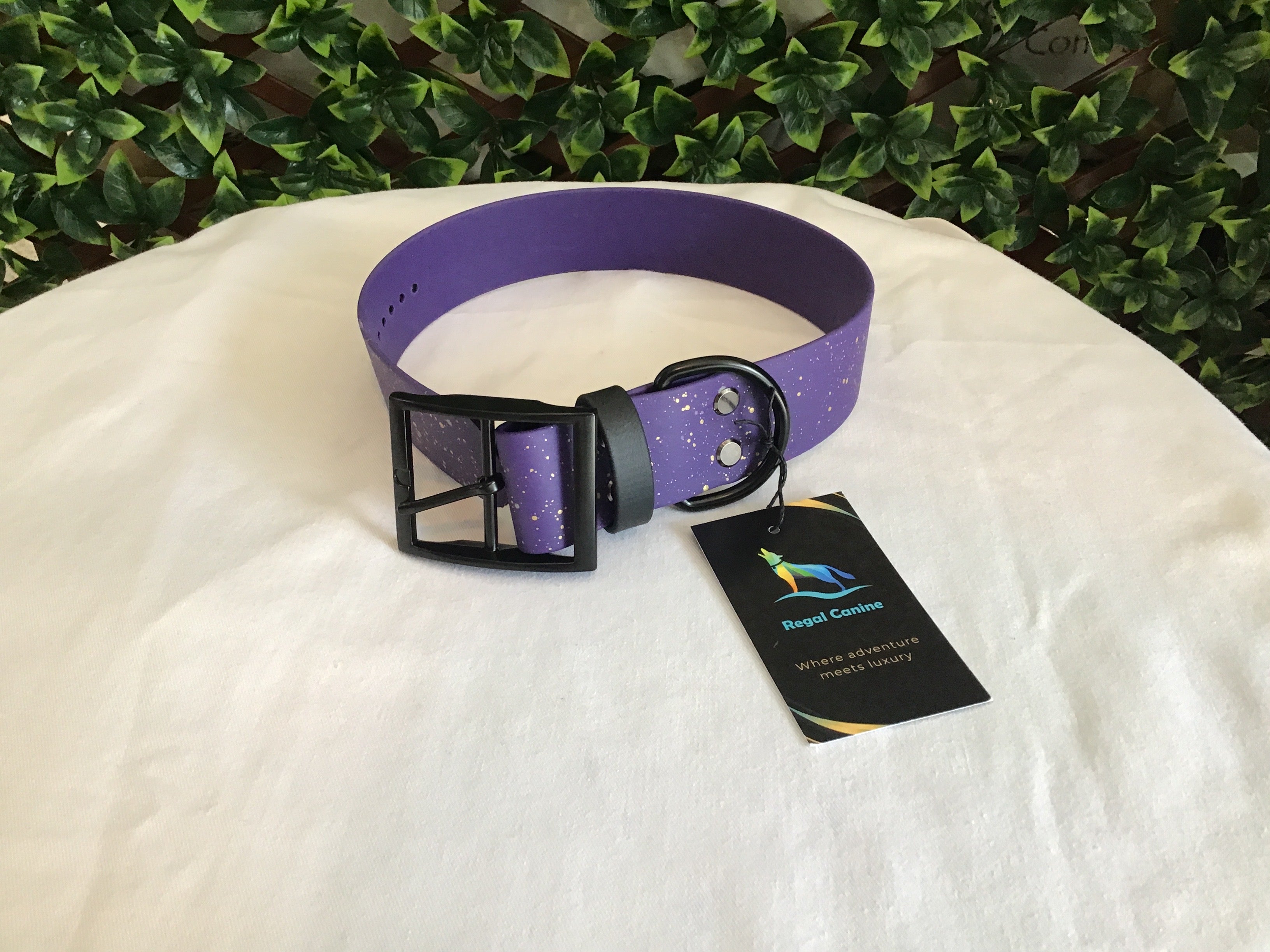 Regal Canine Biothane Dog Collars