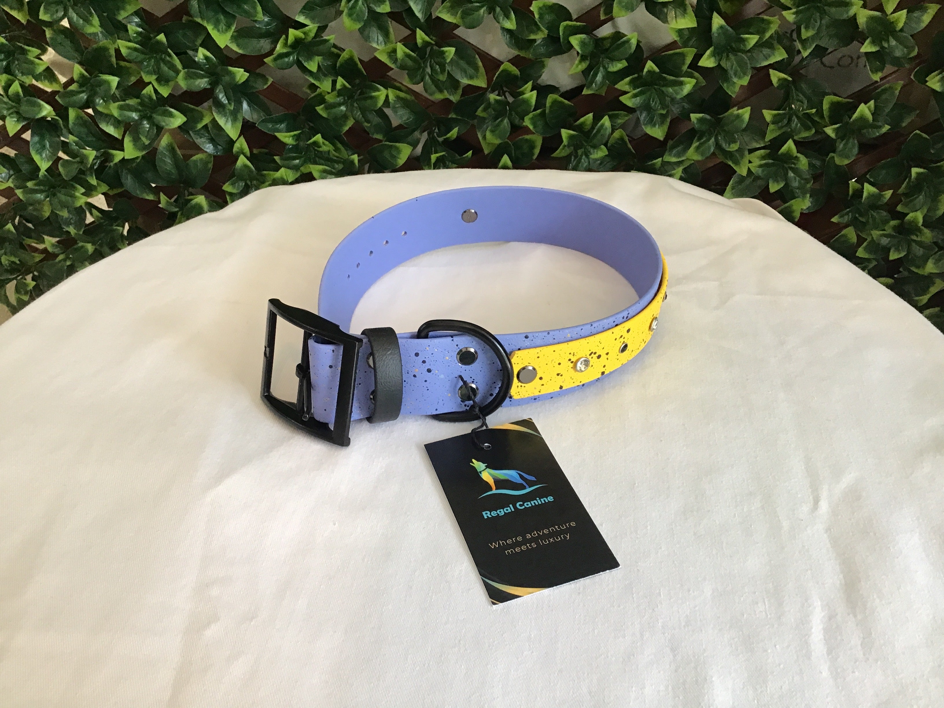 Regal Canine Biothane Dog Collars