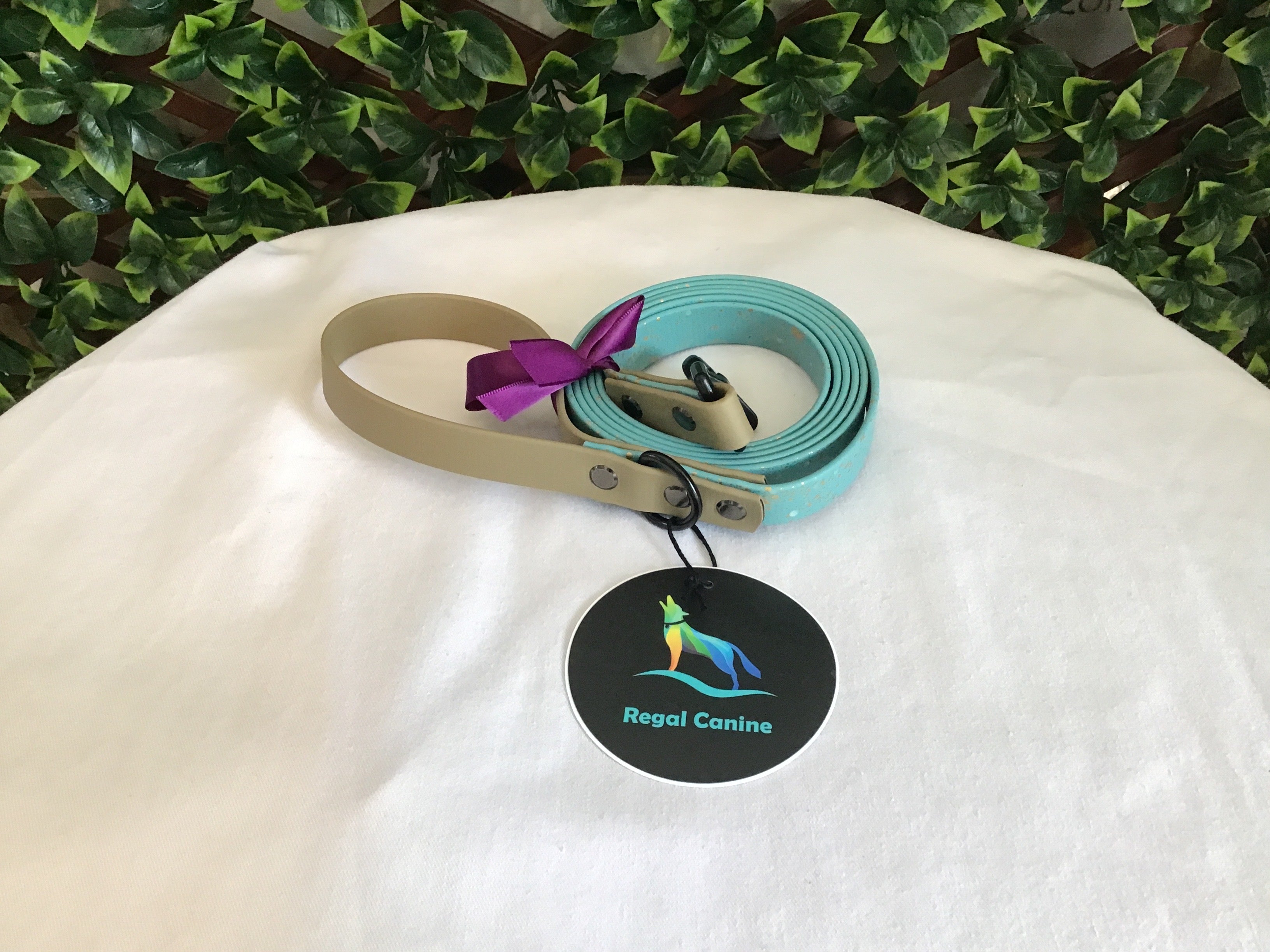 Regal Canine Biothane Leashes