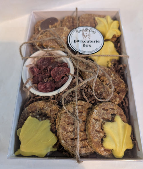 Dog Treat Barkcuterie Box