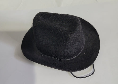 Dog Cowboy Hats