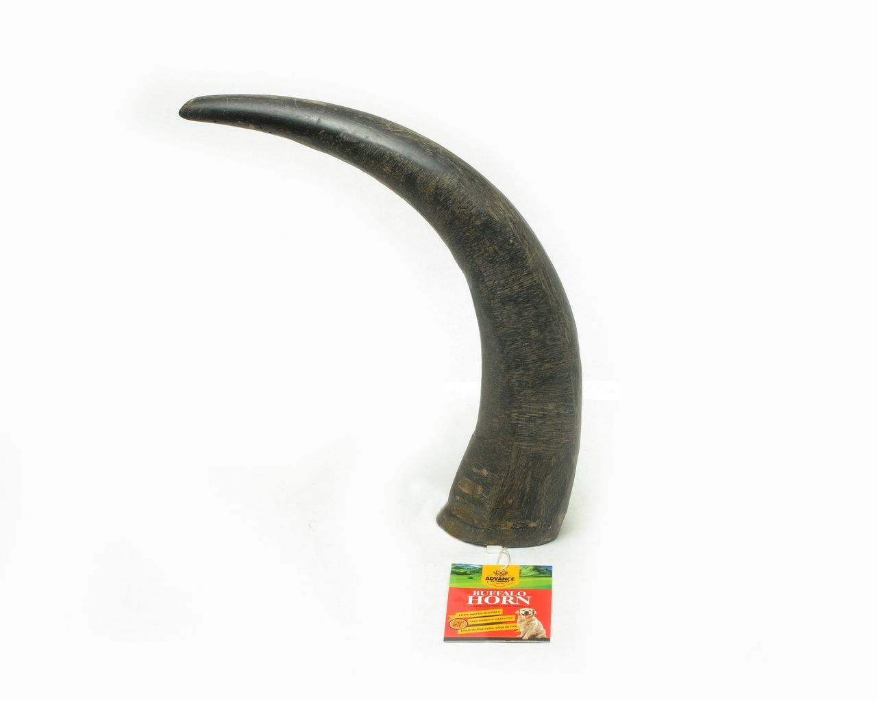 Extra Large Water Buffalo Horn for Dogs | Natural Chew Toy | Free Range Grass Fed | Long-Lasting Dog Treat