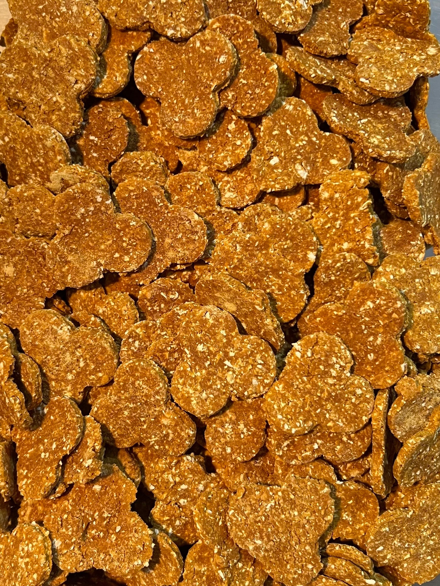Classic Dog Treat Pack Wheat-Free - Pumpkin