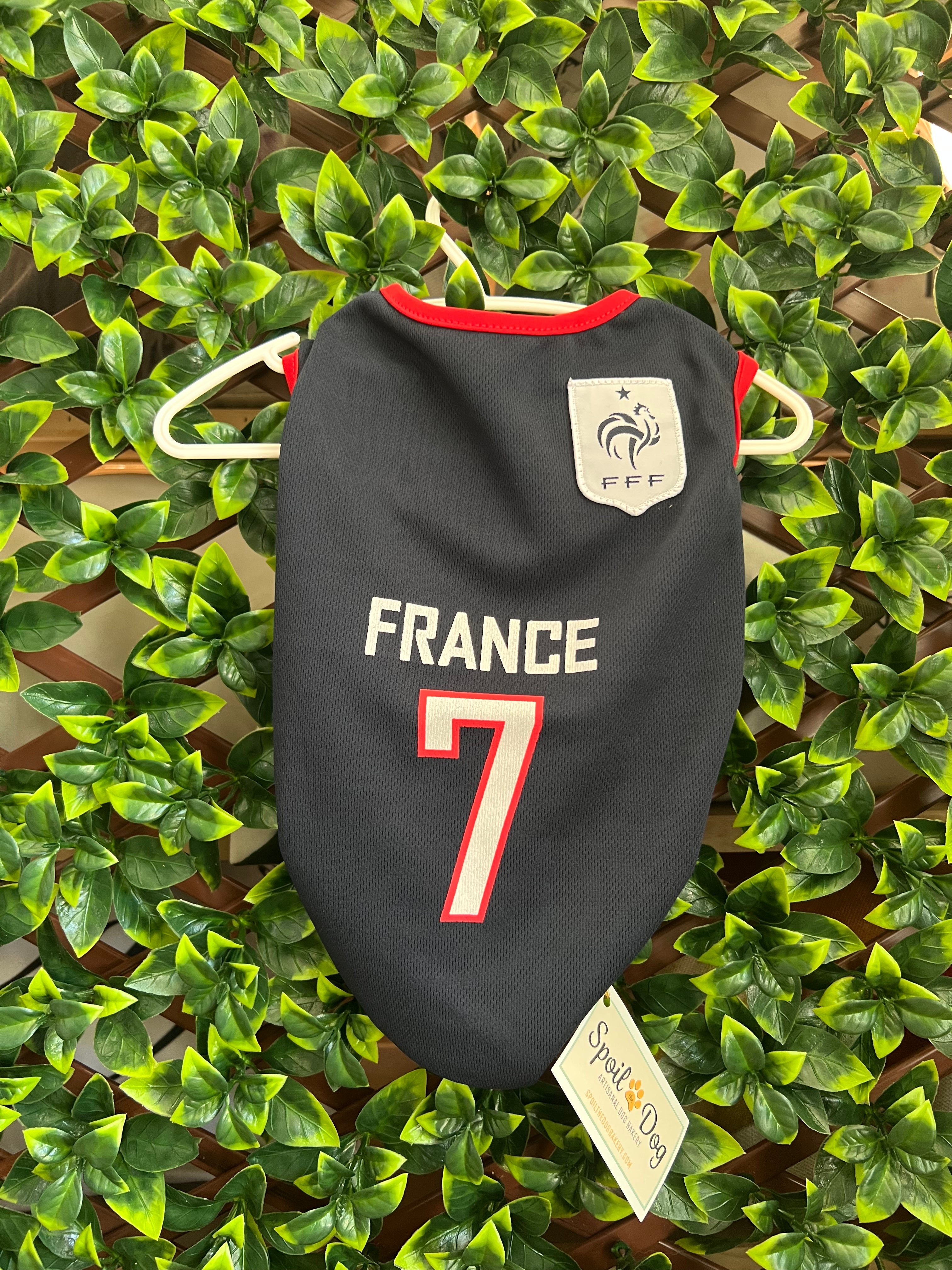 Dog Soccer Jersey