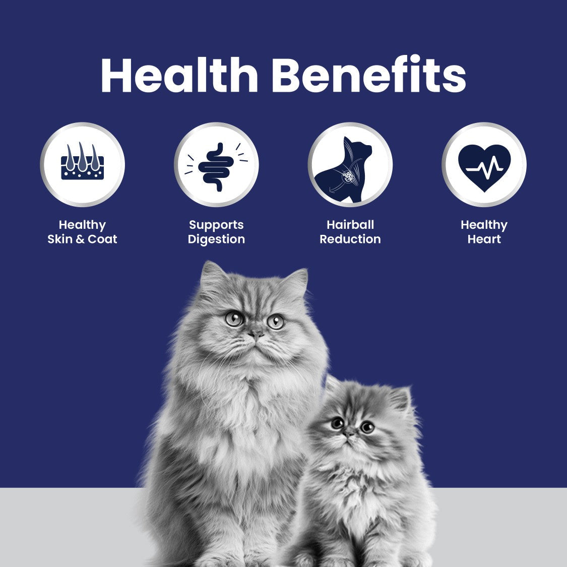 Carniwel Club - Cat Food for All Lifestages