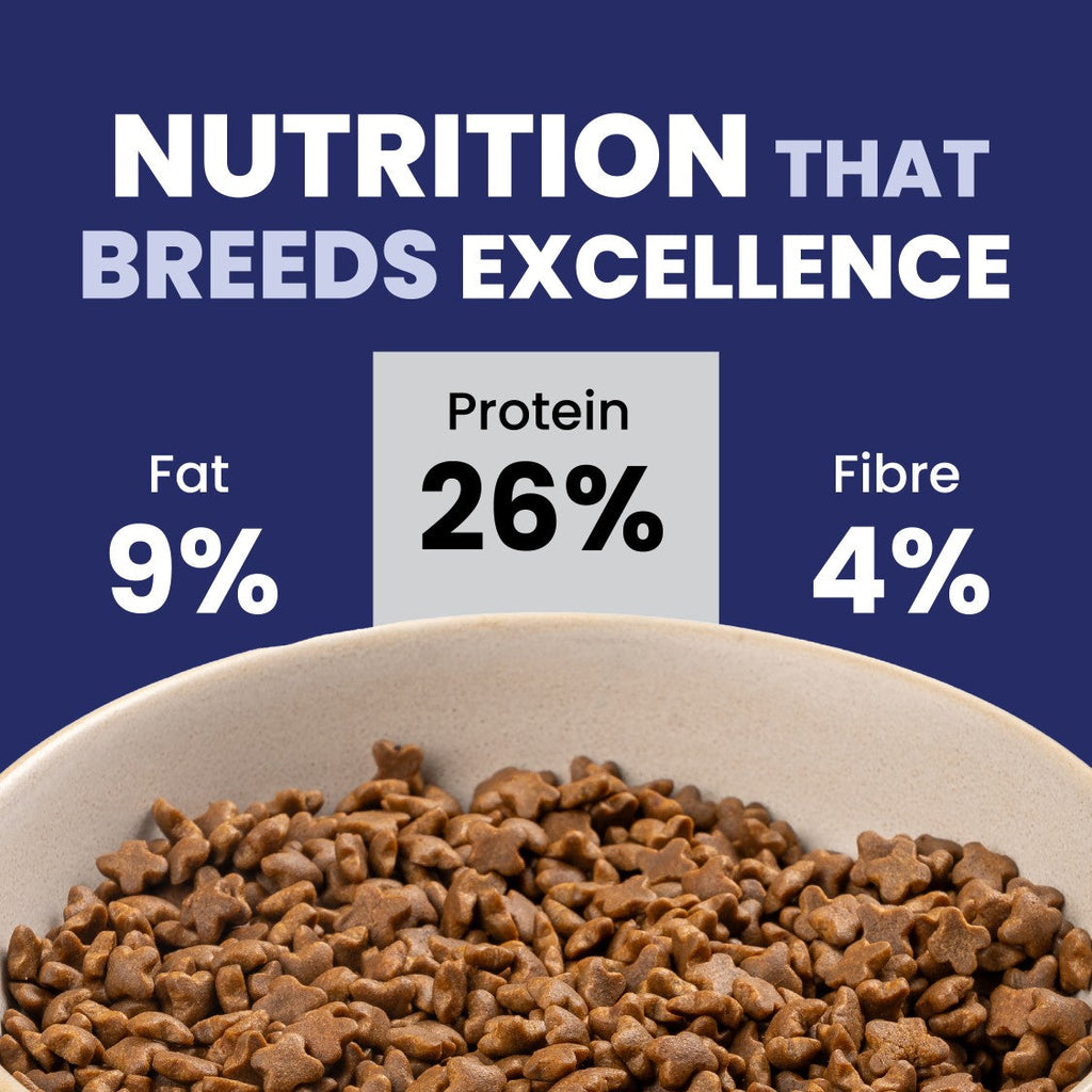 Carniwel Club - Cat Food for All Lifestages