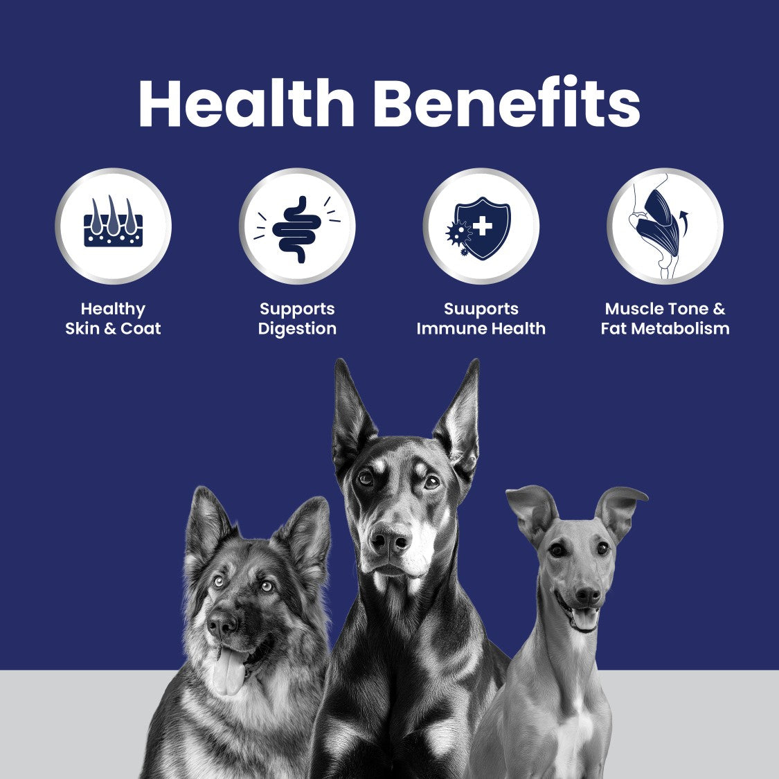 Carniwel Club - Advance Growth Dog Food for All Lifestages