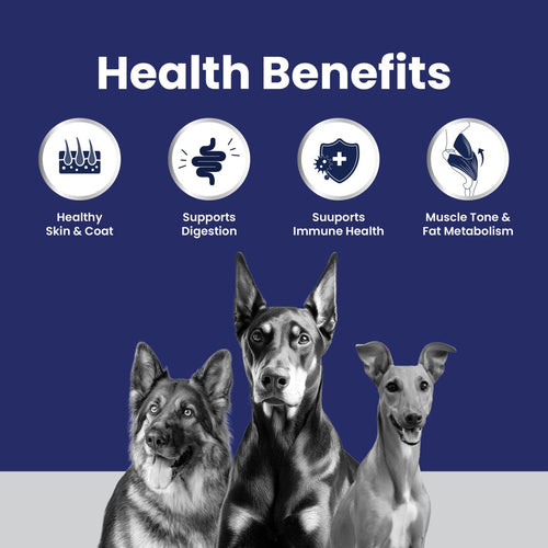 Carniwel Club - Advance Growth Dog Food for All Lifestages