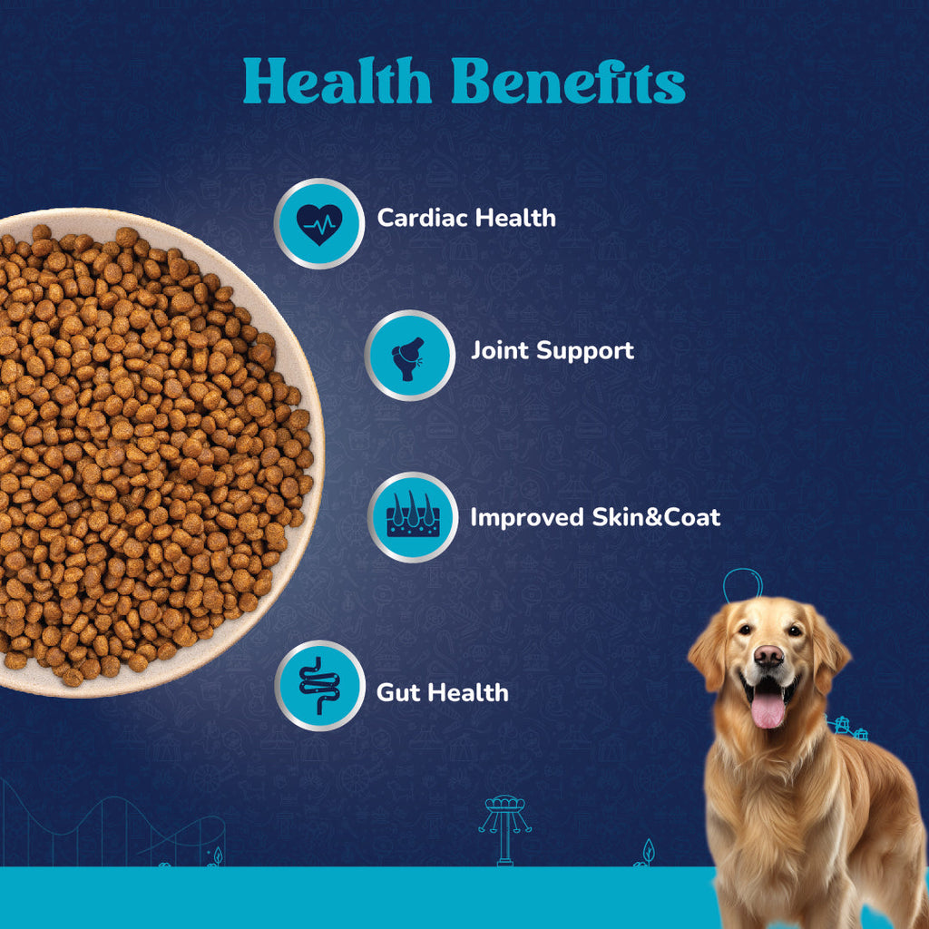 Carniwel with Fresh Chicken, Dry Dog Food for Large Breed, Adult x 2