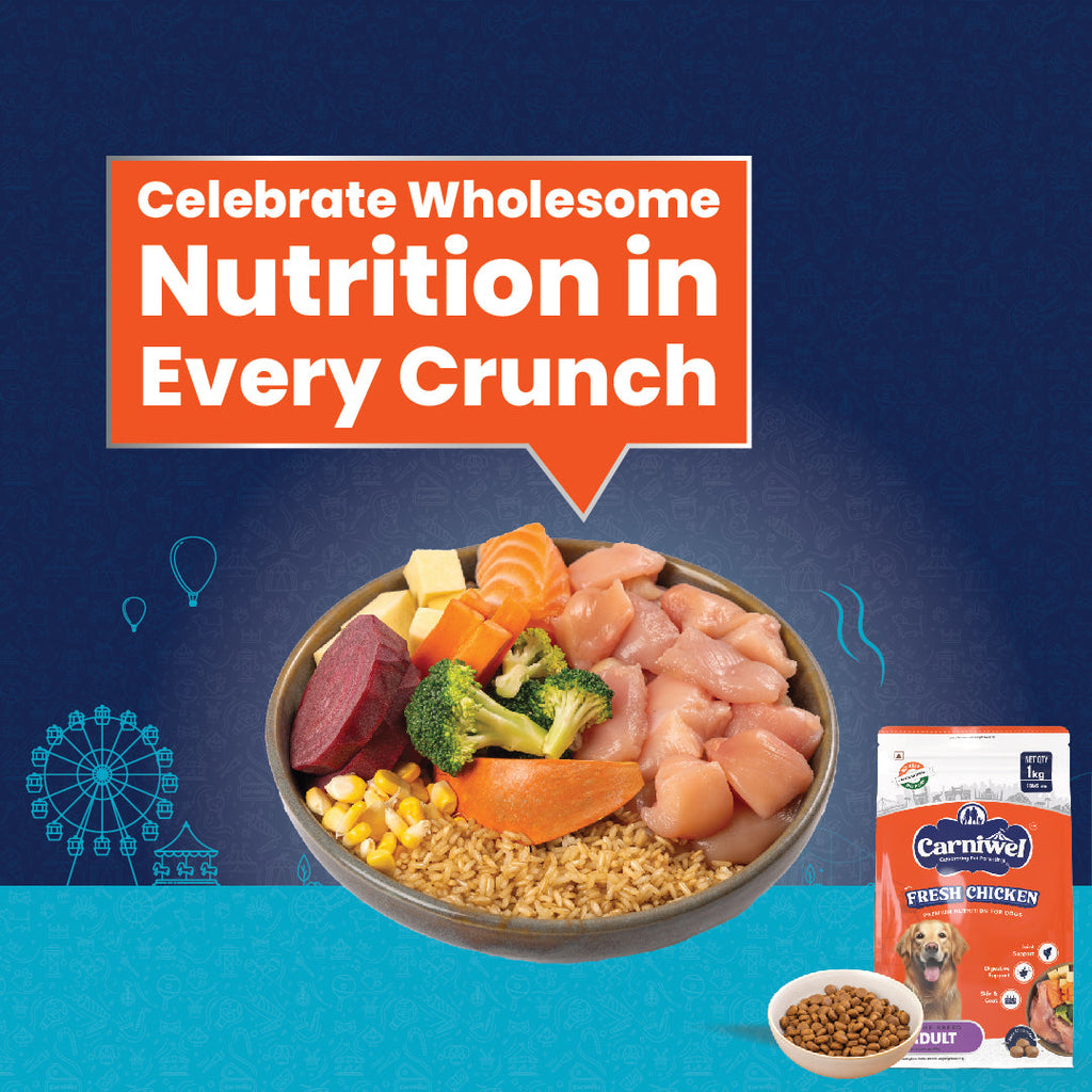 Carniwel with Fresh Chicken, Dry Dog Food for Large Breed, Adult x 2