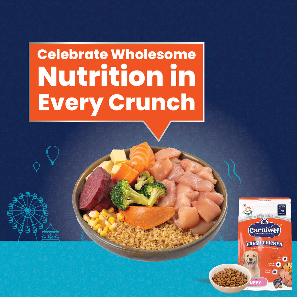 Carniwel with Fresh Chicken, Dry Dog Food for Large Breed, Puppy x 2