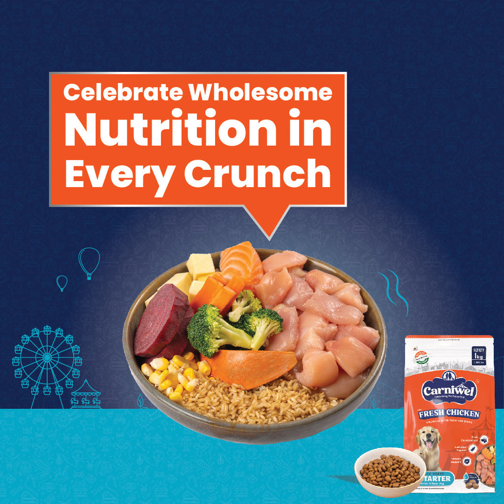 Carniwel with Fresh Chicken, Dry Dog Food for Large Breed, Starter x 2