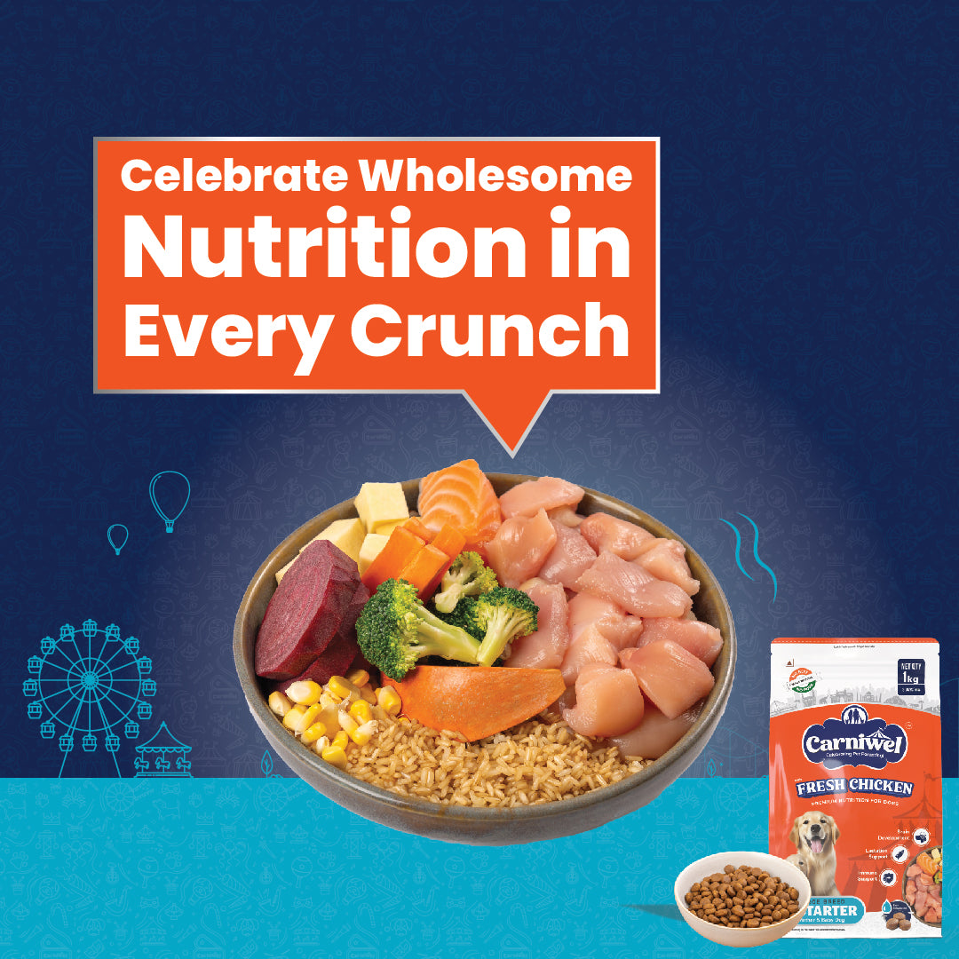 Carniwel with Fresh Chicken, Dry Dog Food for Large Breed, Starter x 2