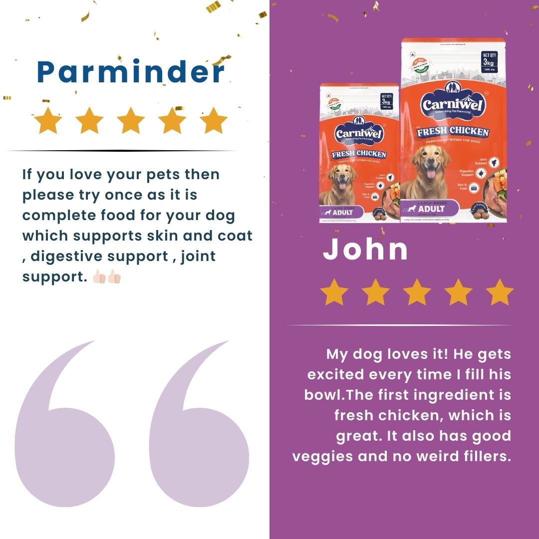 Carniwel with Fresh Chicken, Dry Dog Food for Large Breed, Adult x 2