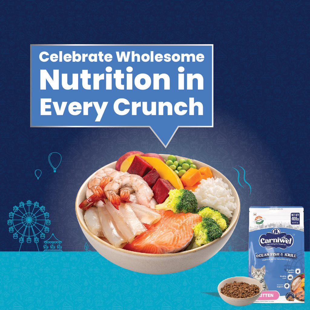 Carniwel Ocean Fish & Krill and Persian Kitten Food (Pack of 2)