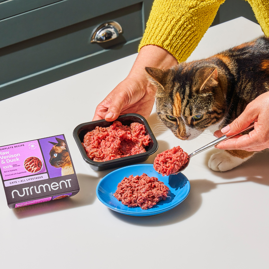 5kg Cat Raw Starter Duo Box