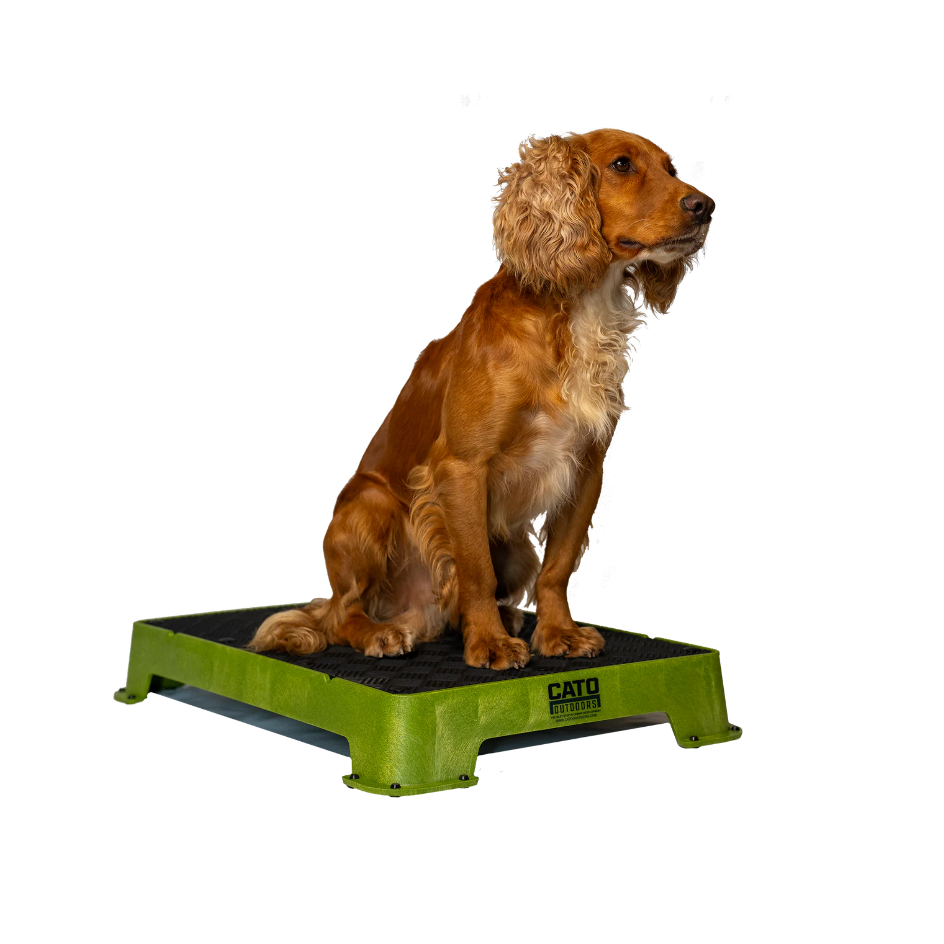 Cato Board Dog Training Platform