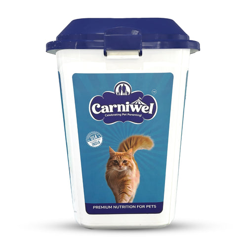 Container