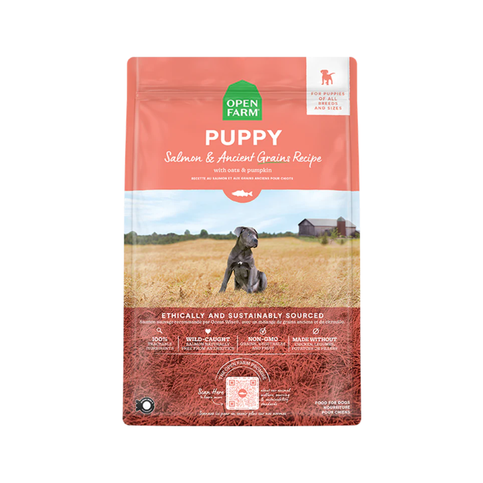 Open Farm Salmon & Ancient Grains Puppy Food