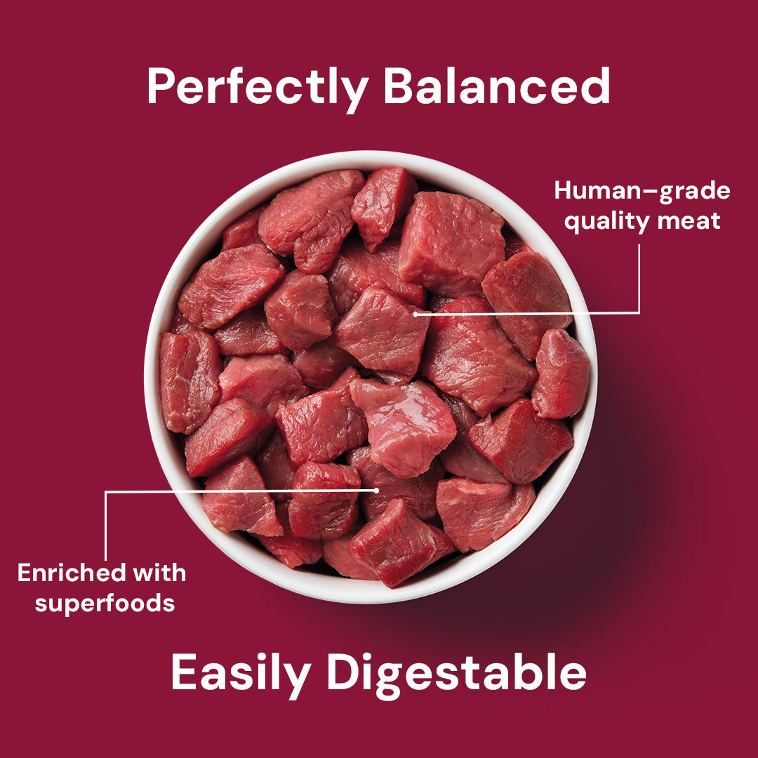 Cat Raw Beef 500g
