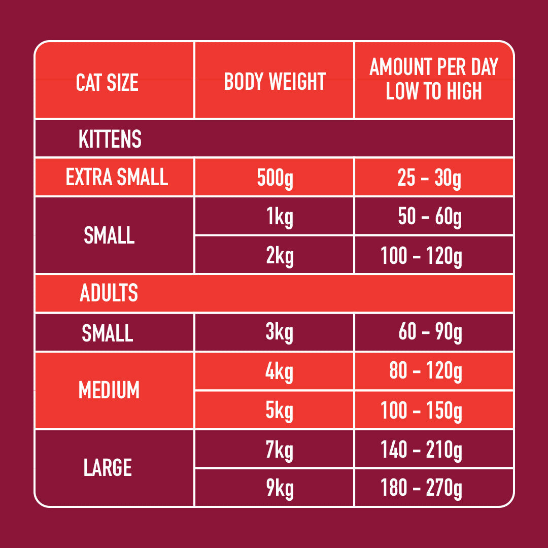 Cat Raw Beef 500g