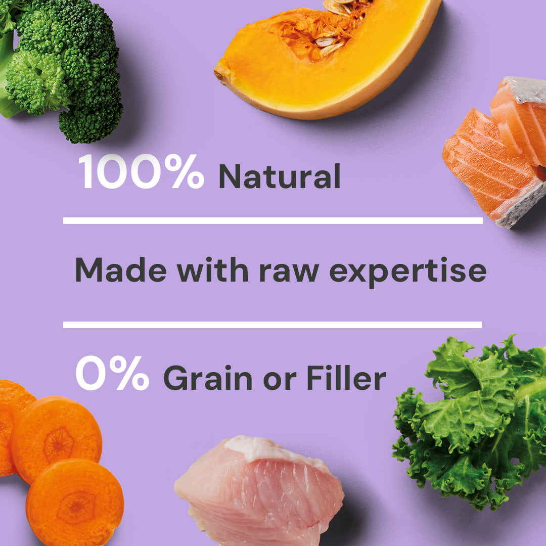 Raw Salmon & Turkey 500g