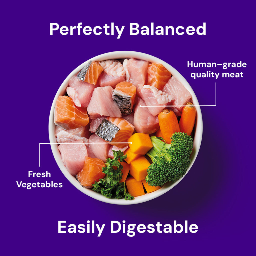 Raw Salmon & Turkey 500g