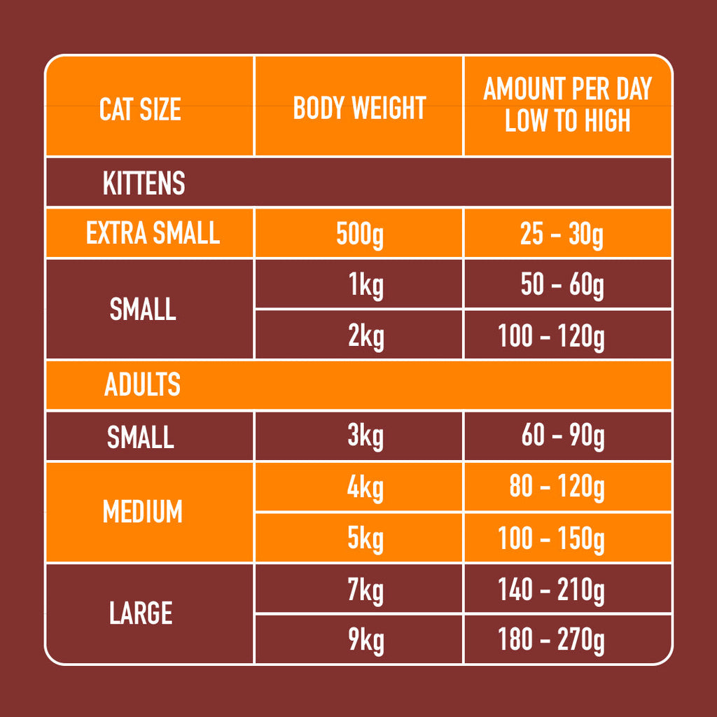 5kg Cat Raw Starter Duo Box