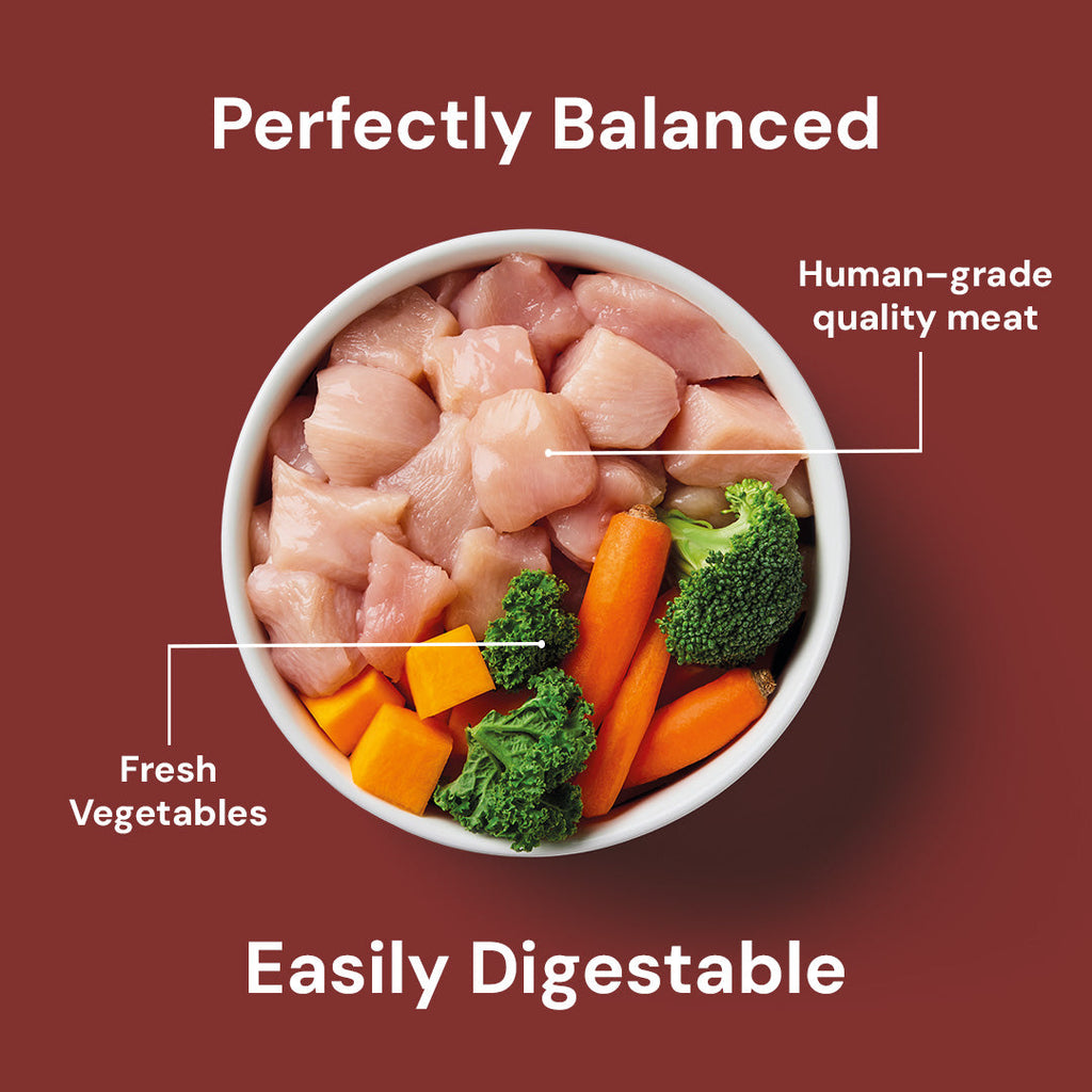 10kg Adult Raw Variety Box