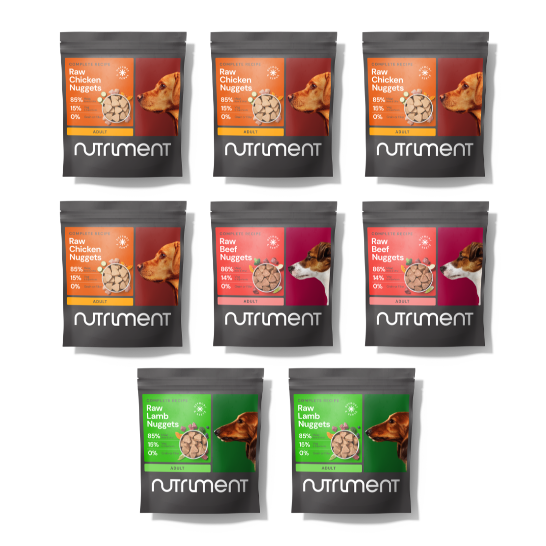 8kg Adult Raw Nugget Starter Pack