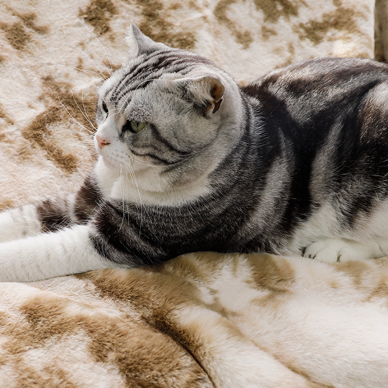 Soft And Warm Flannel Fleece Two Layer Pet Blanket